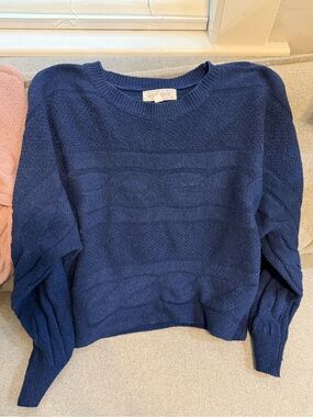Wilfred Free Navy Crewneck Textured Knit Sweater